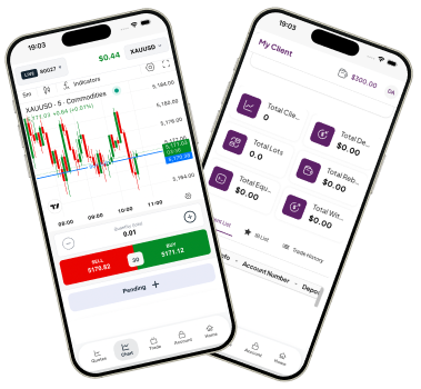 Forex CRM mobile app interface