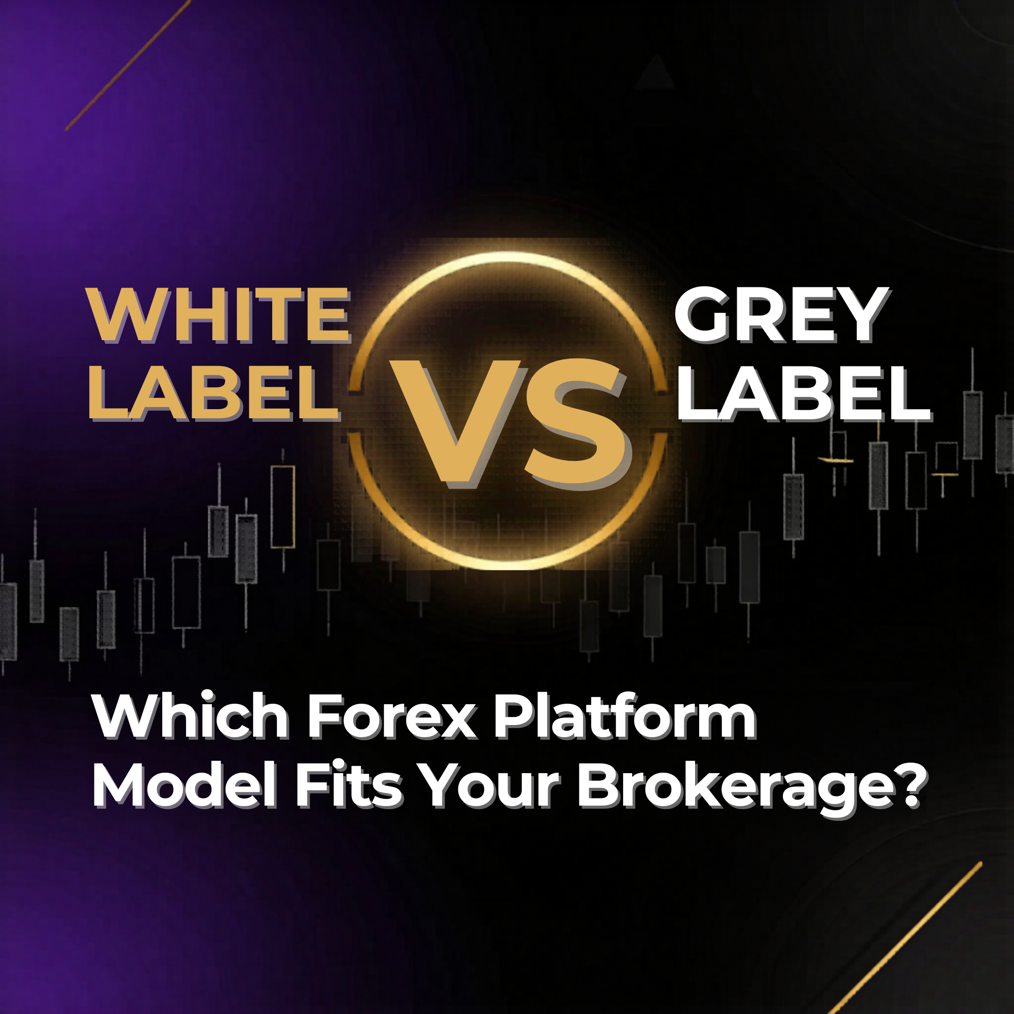Forex SEO Services