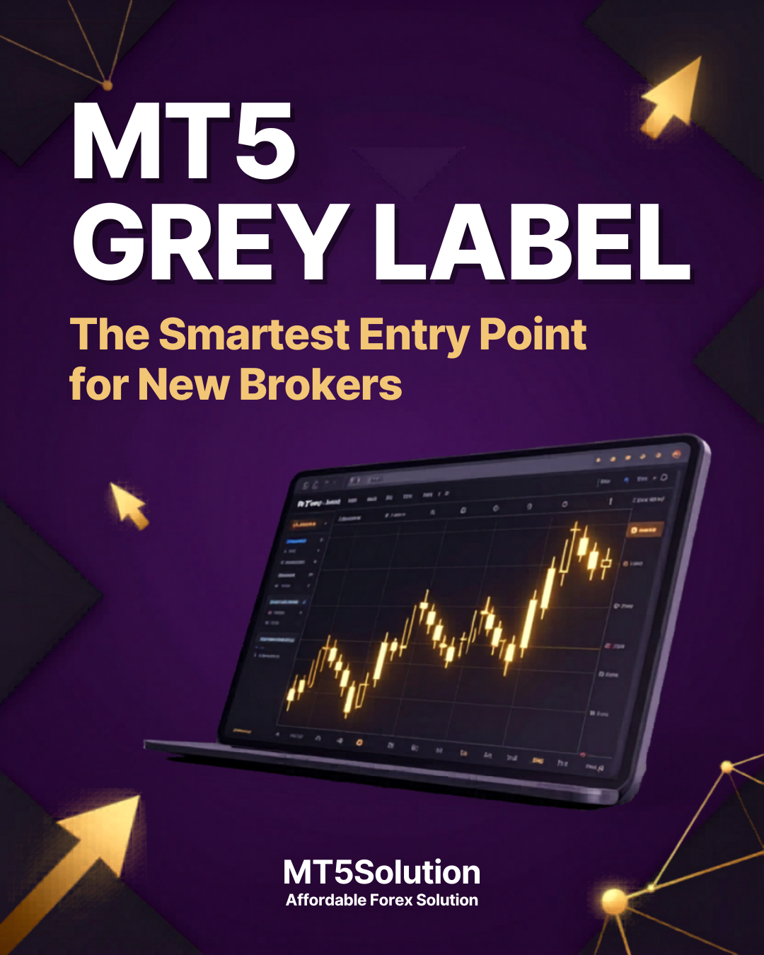 MT4 Grey Label for Startup Brokers